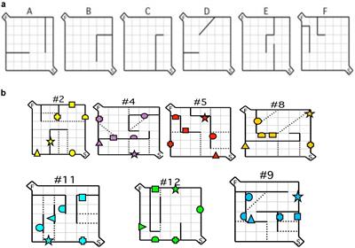 Utility of the Hebb–Williams Maze Paradigm for Translational Research in Fragile X Syndrome: A Direct Comparison of Mice and Humans